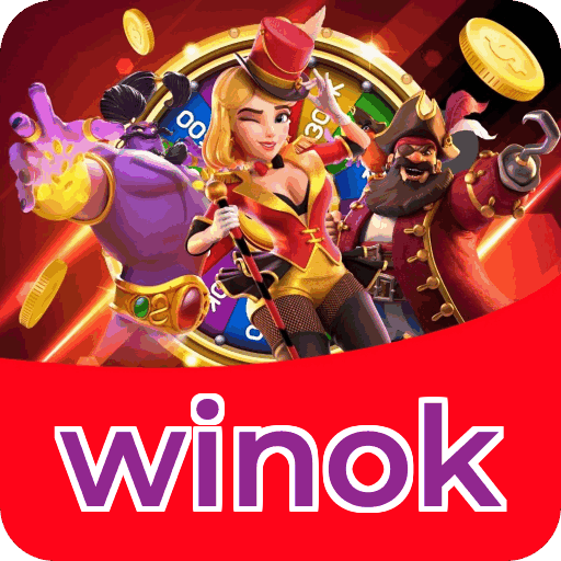 Métodos de pagamento aceitos na winok